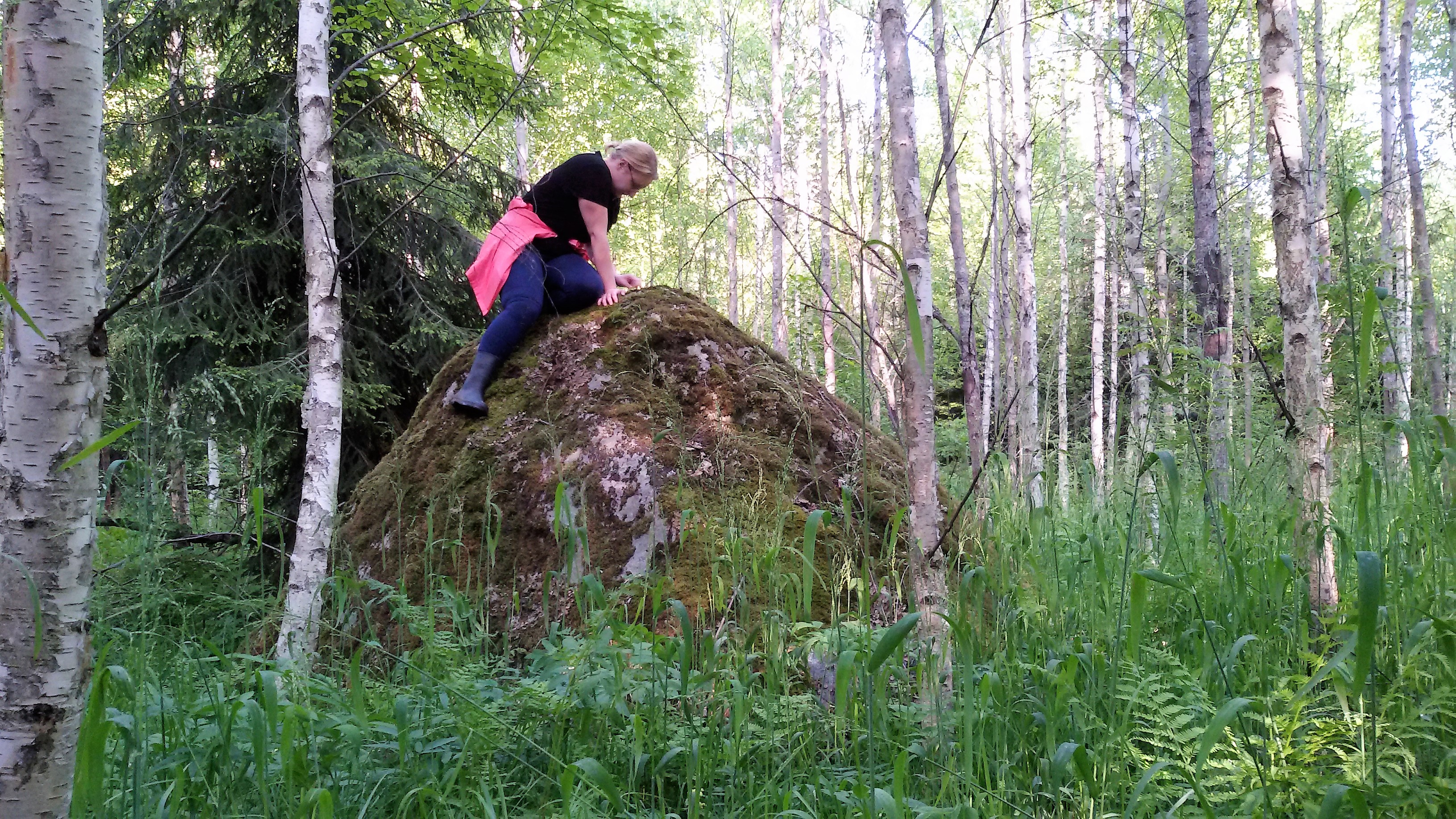 Linnanõmme - Kalevipoja linn