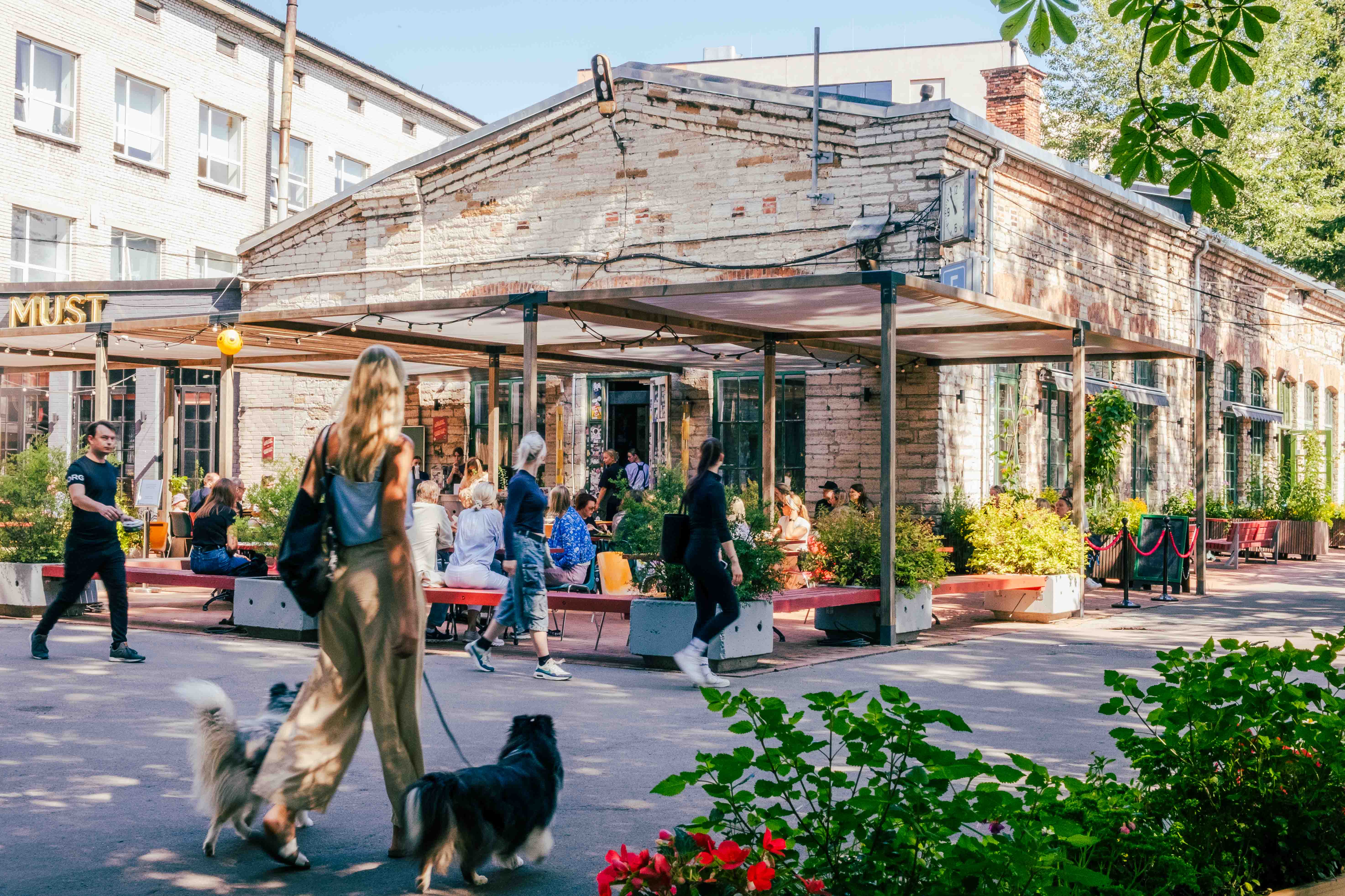 Suvine vaade F-hoone avarale terrassile