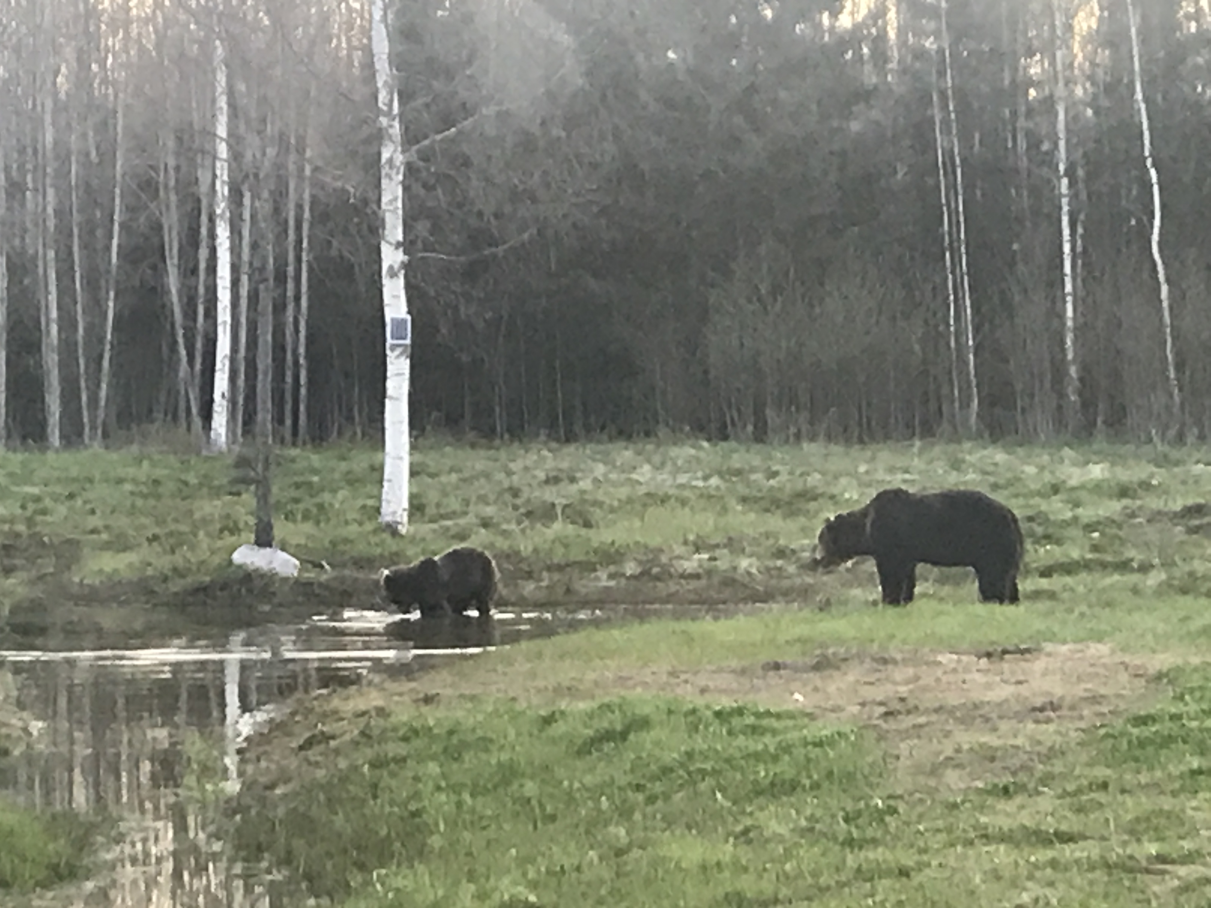Wild&Heritage karuvaatlus