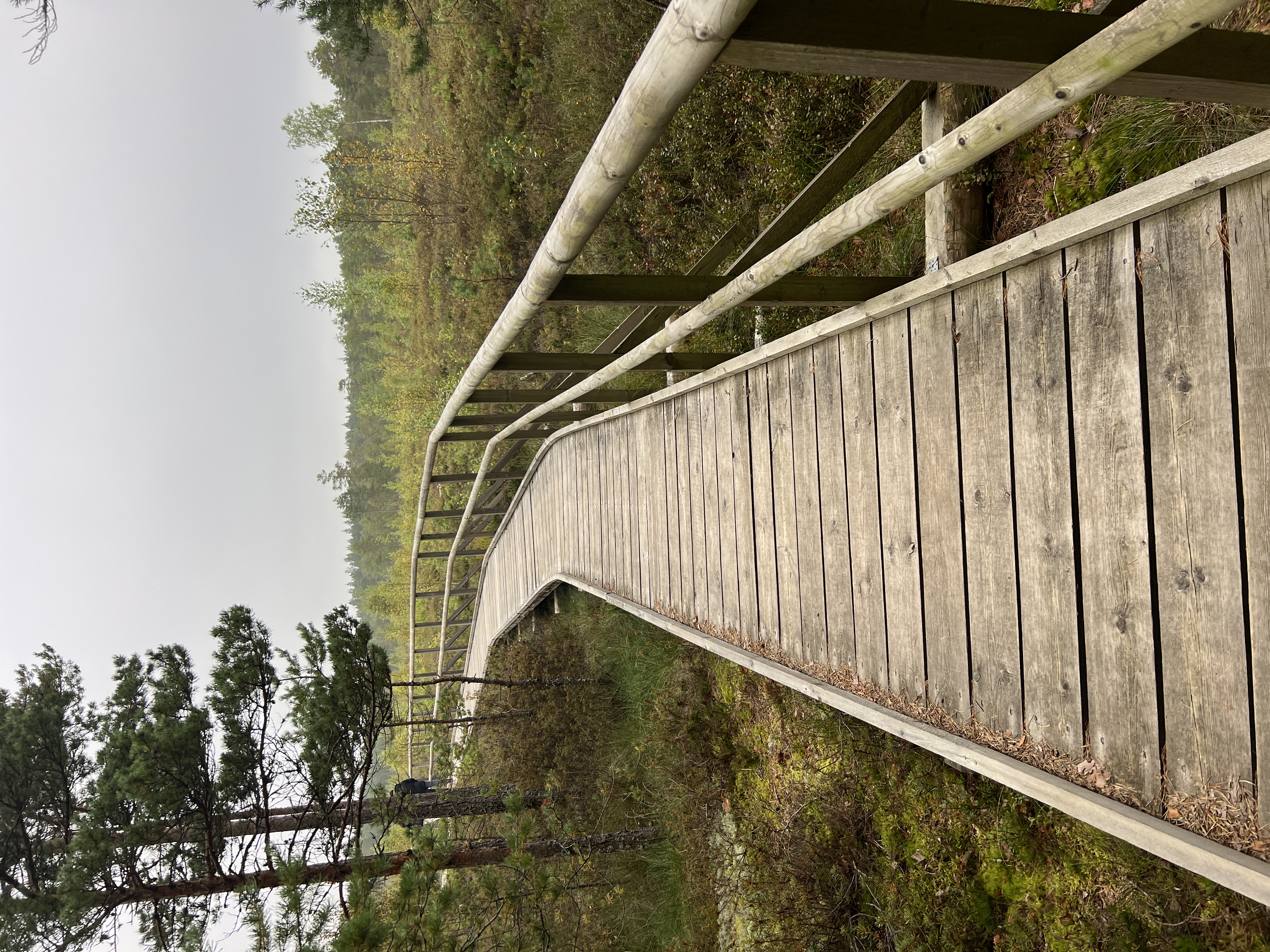 Wild&Heritage jalutuskäik maalilisel rabateel