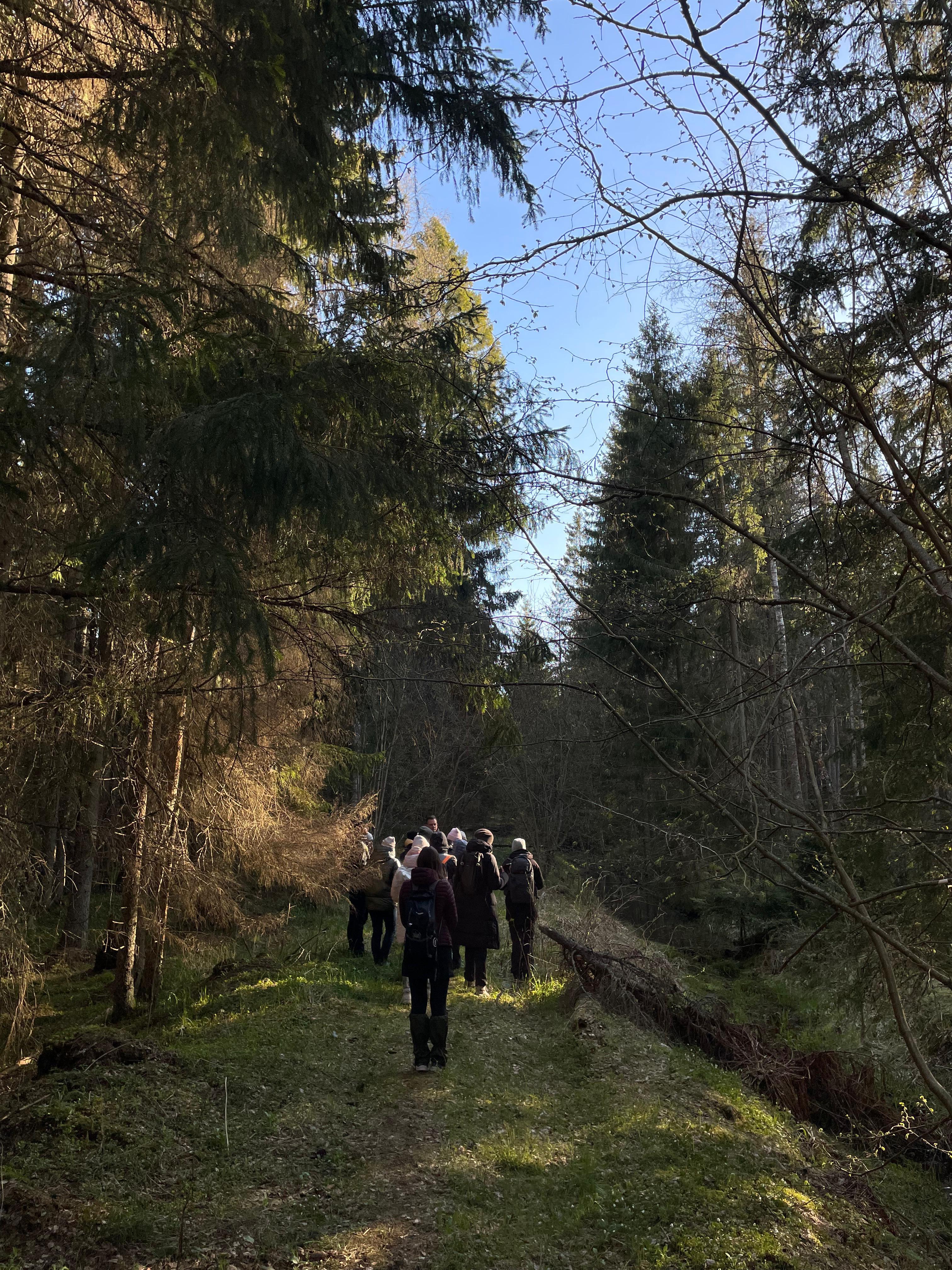 360 KRAADI linnuvaatlusmatk Paljassaares