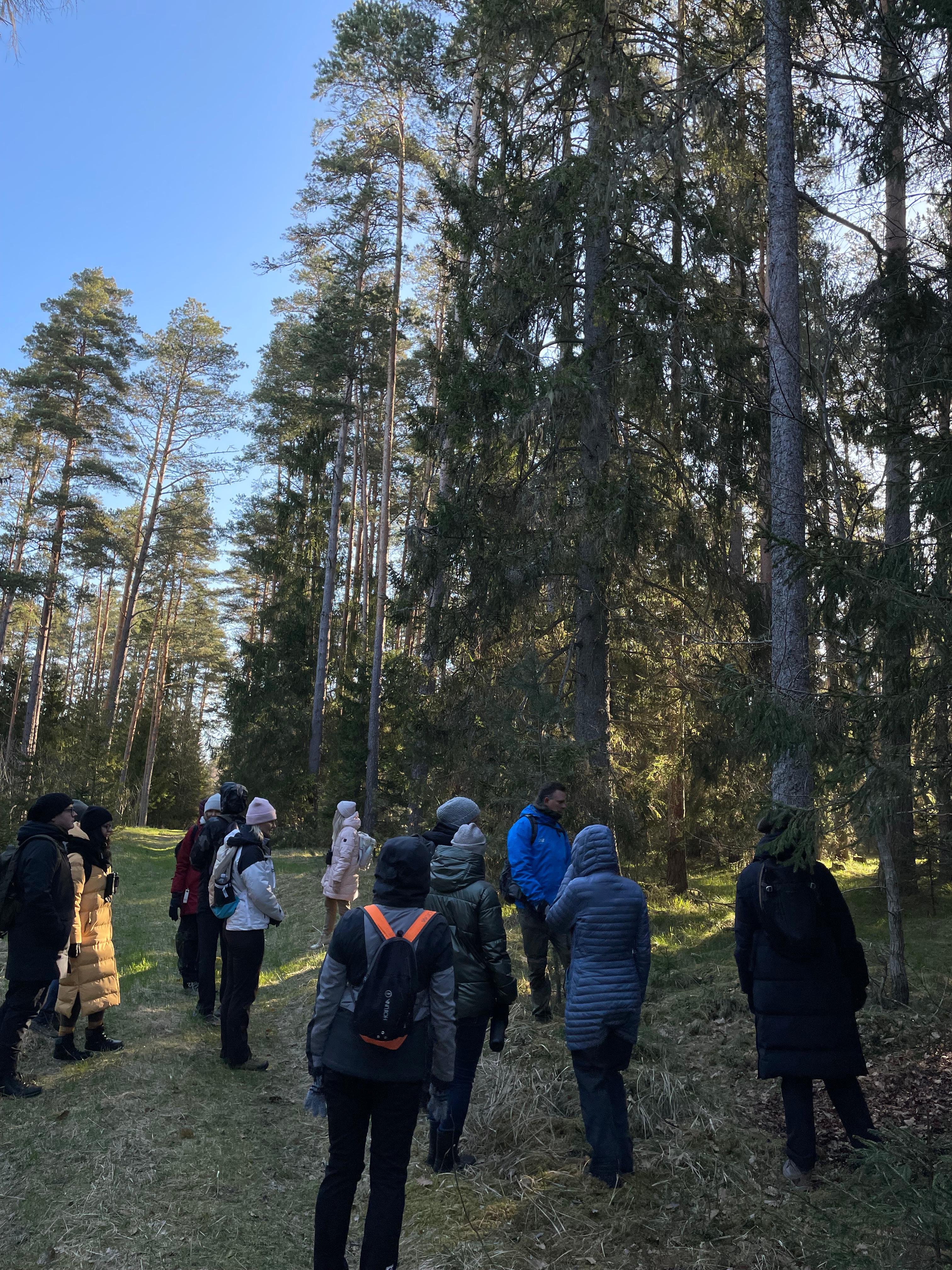 360 KRAADI linnuvaatlusmatk Paljassaares