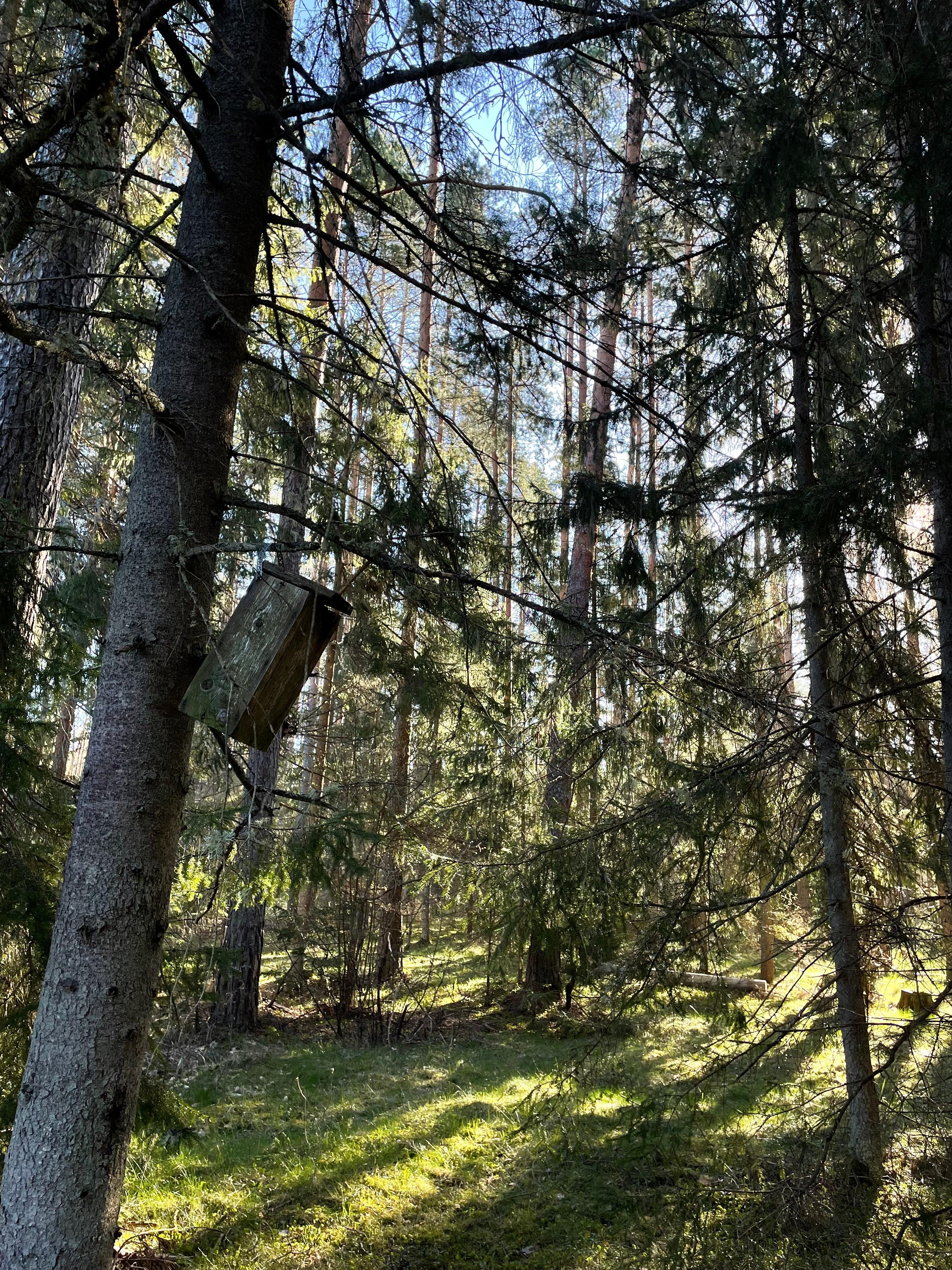 360 KRAADI linnuvaatlusmatk Paljassaares