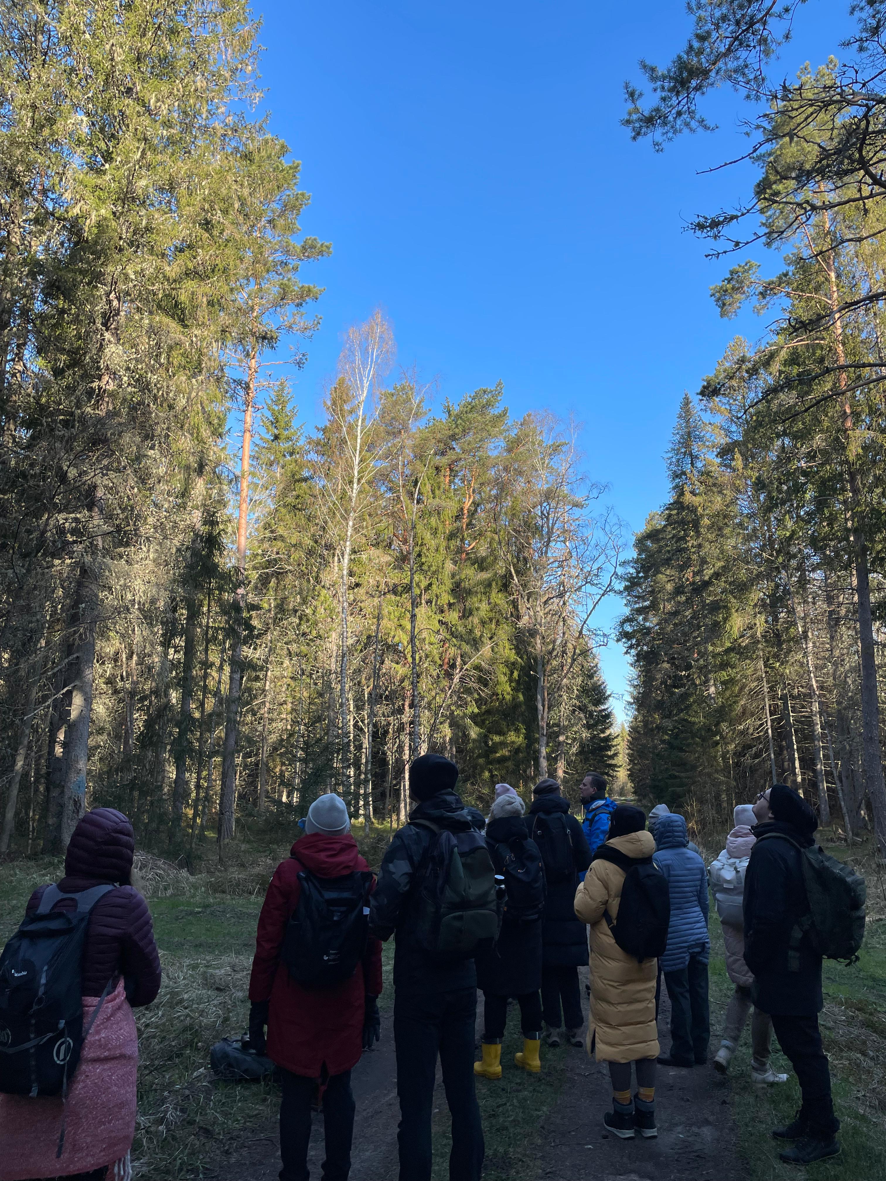 360 KRAADI linnuvaatlusmatk Paljassaares