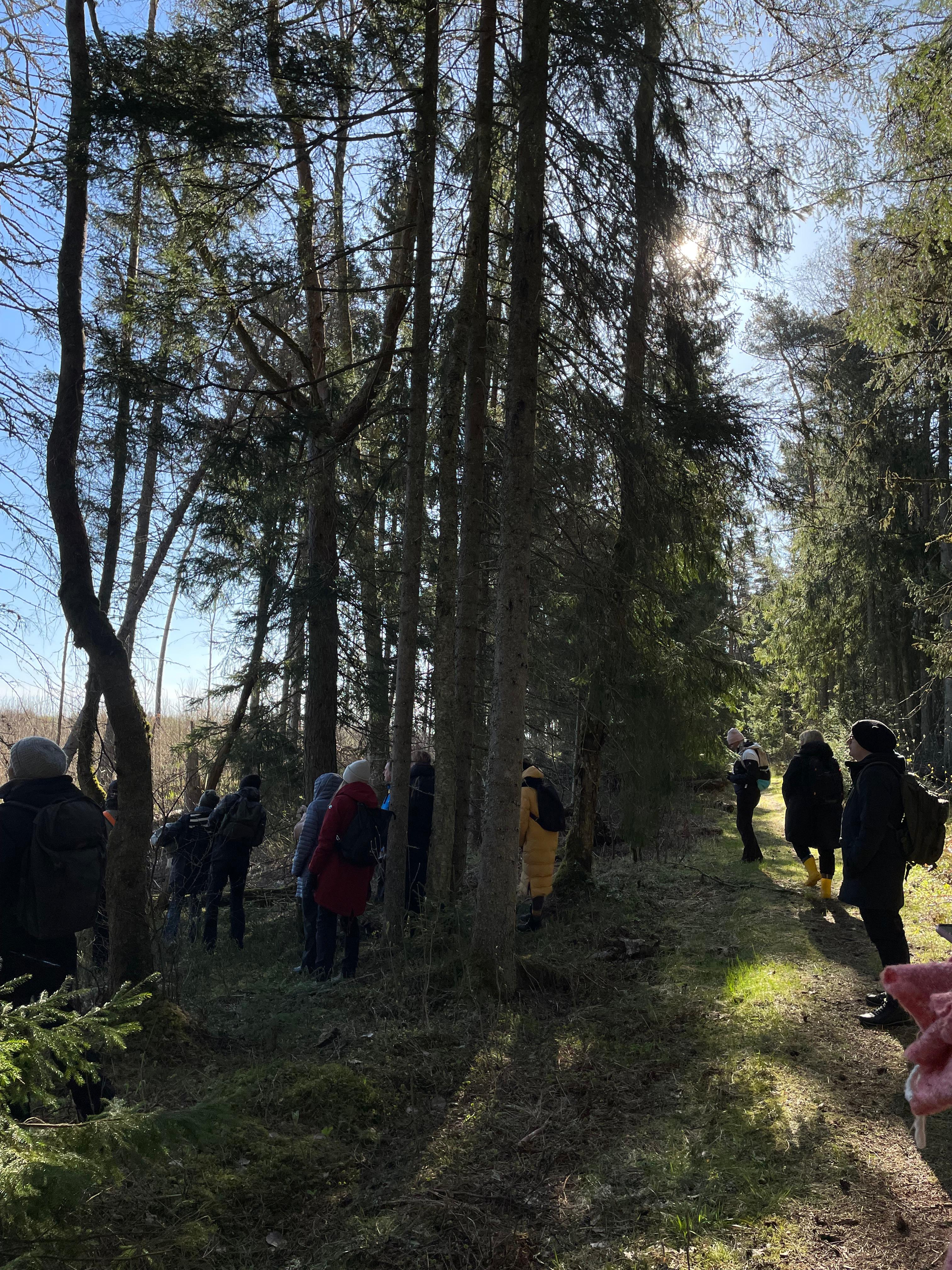 360 KRAADI linnuvaatlusmatk Paljassaares