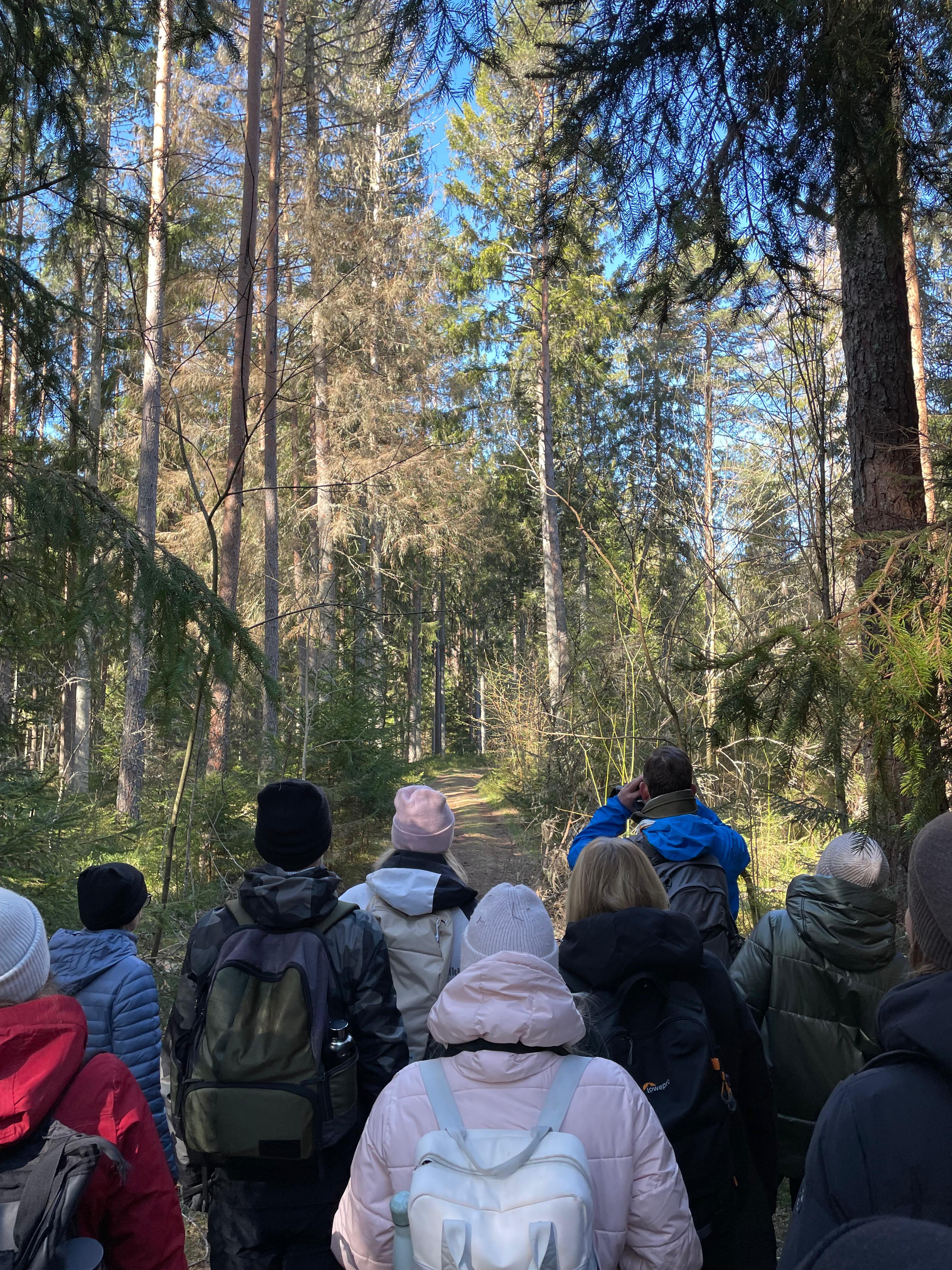 360 KRAADI linnuvaatlusmatk Paljassaares