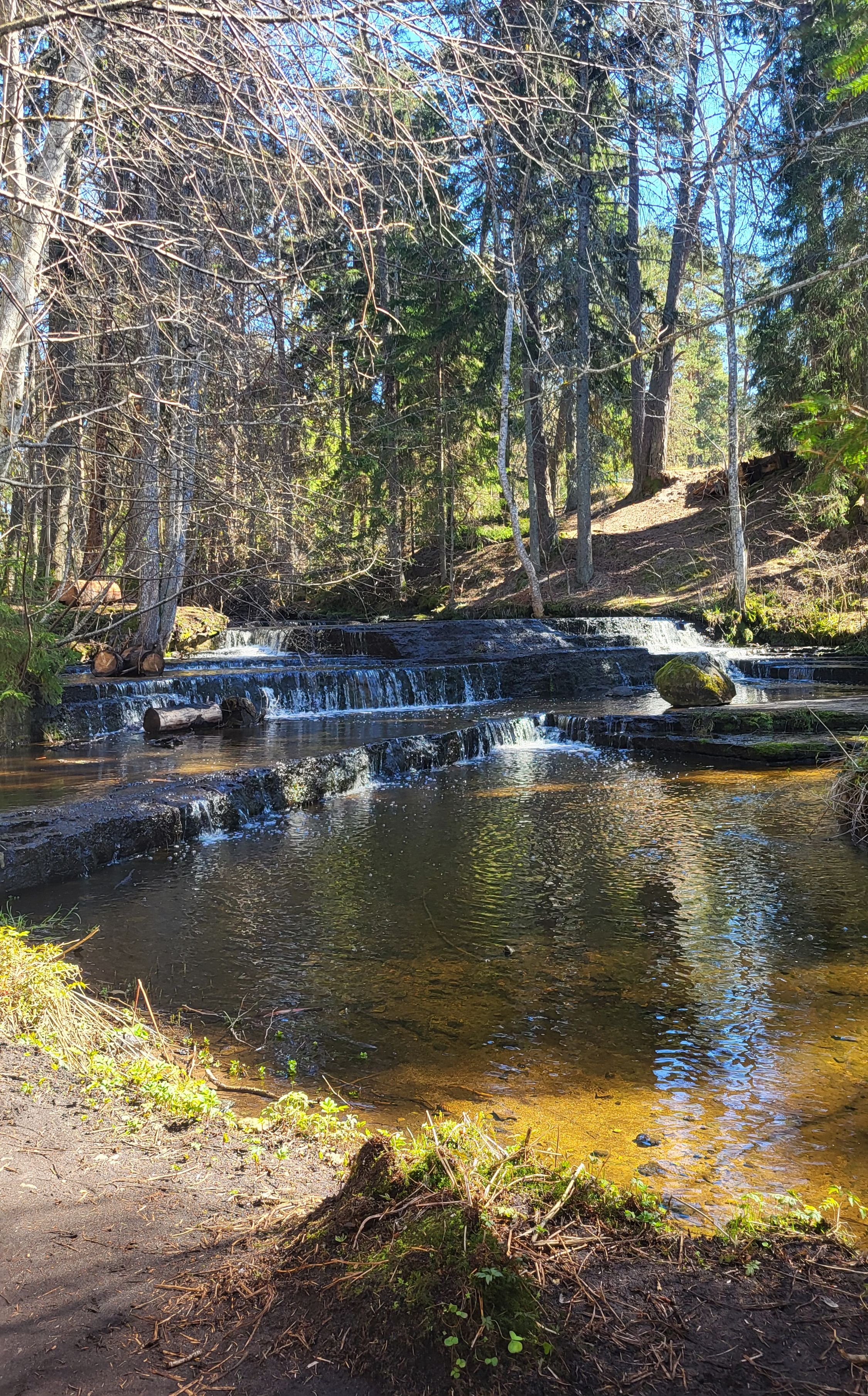 Treppoja joastik kevadel