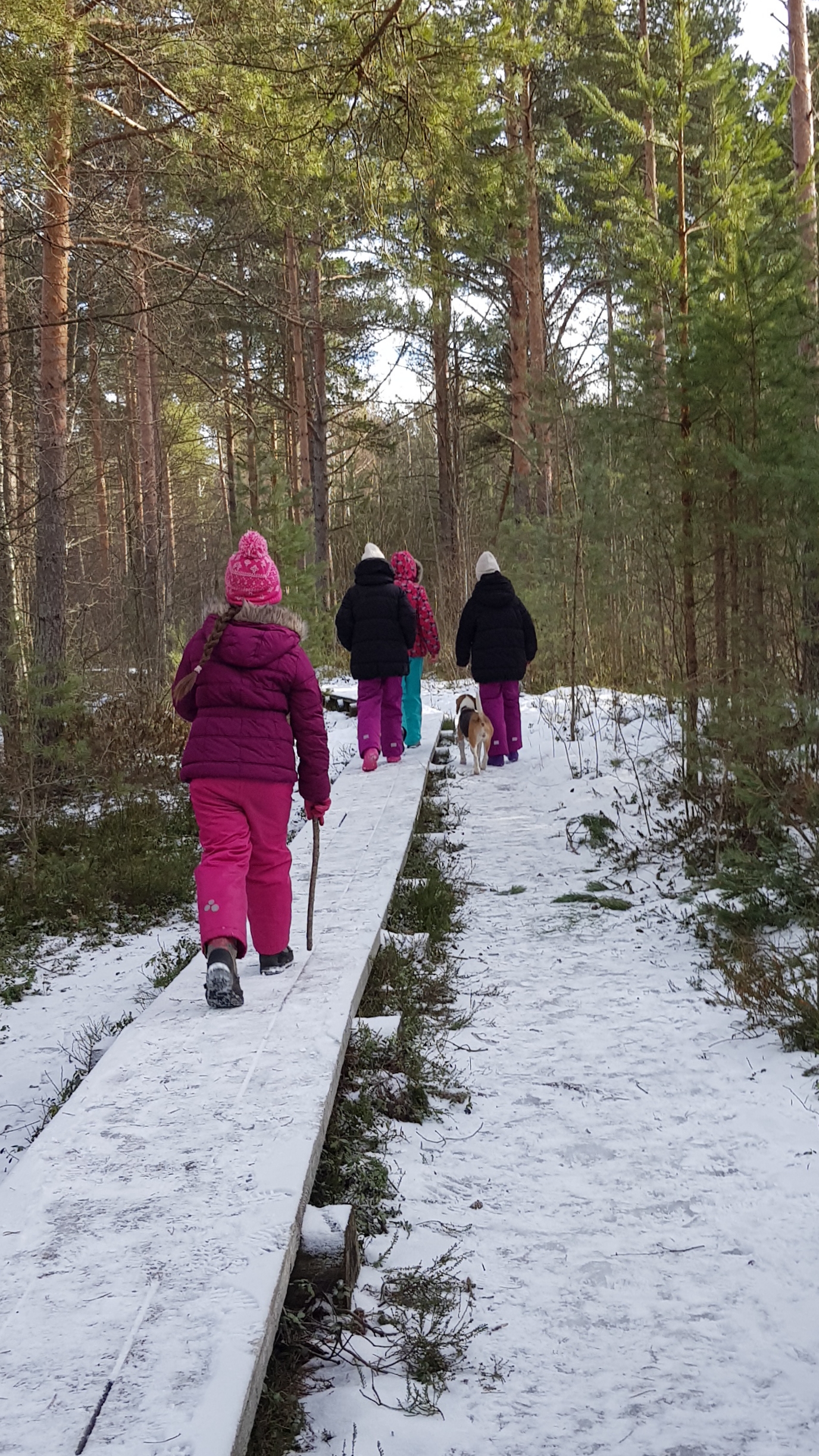 Naturbeobachtungs-Wanderung im Winter
