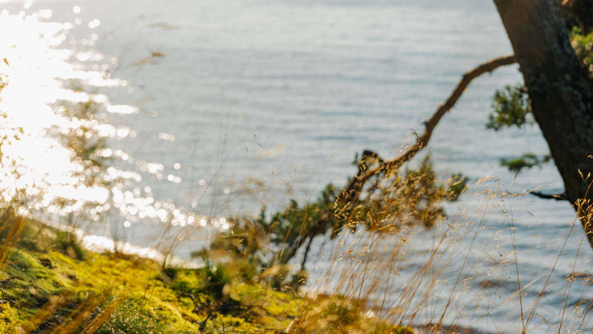 Lake Peipsi near Kurro