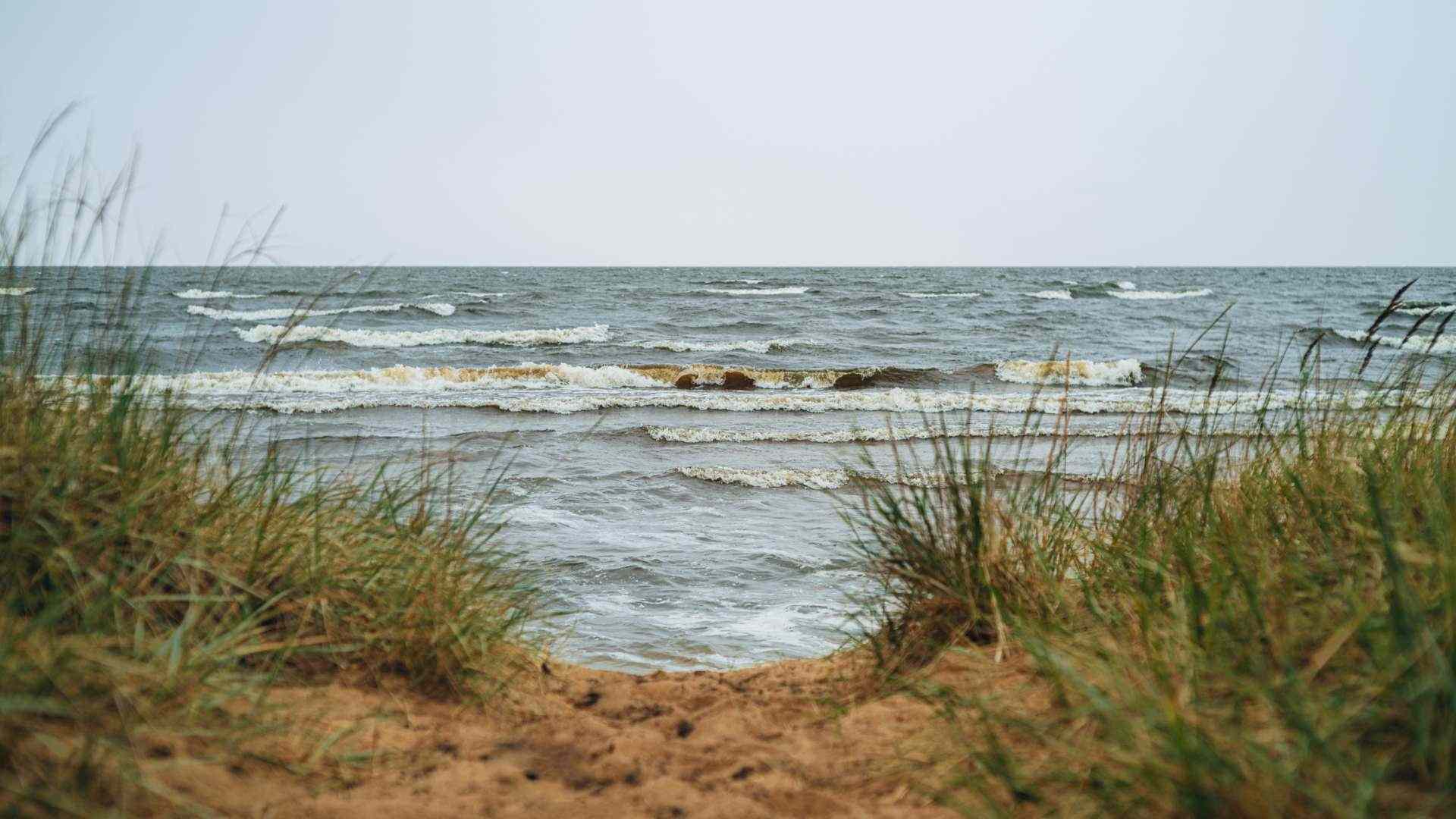 Lake Peipsi near Kurro Nature Spa