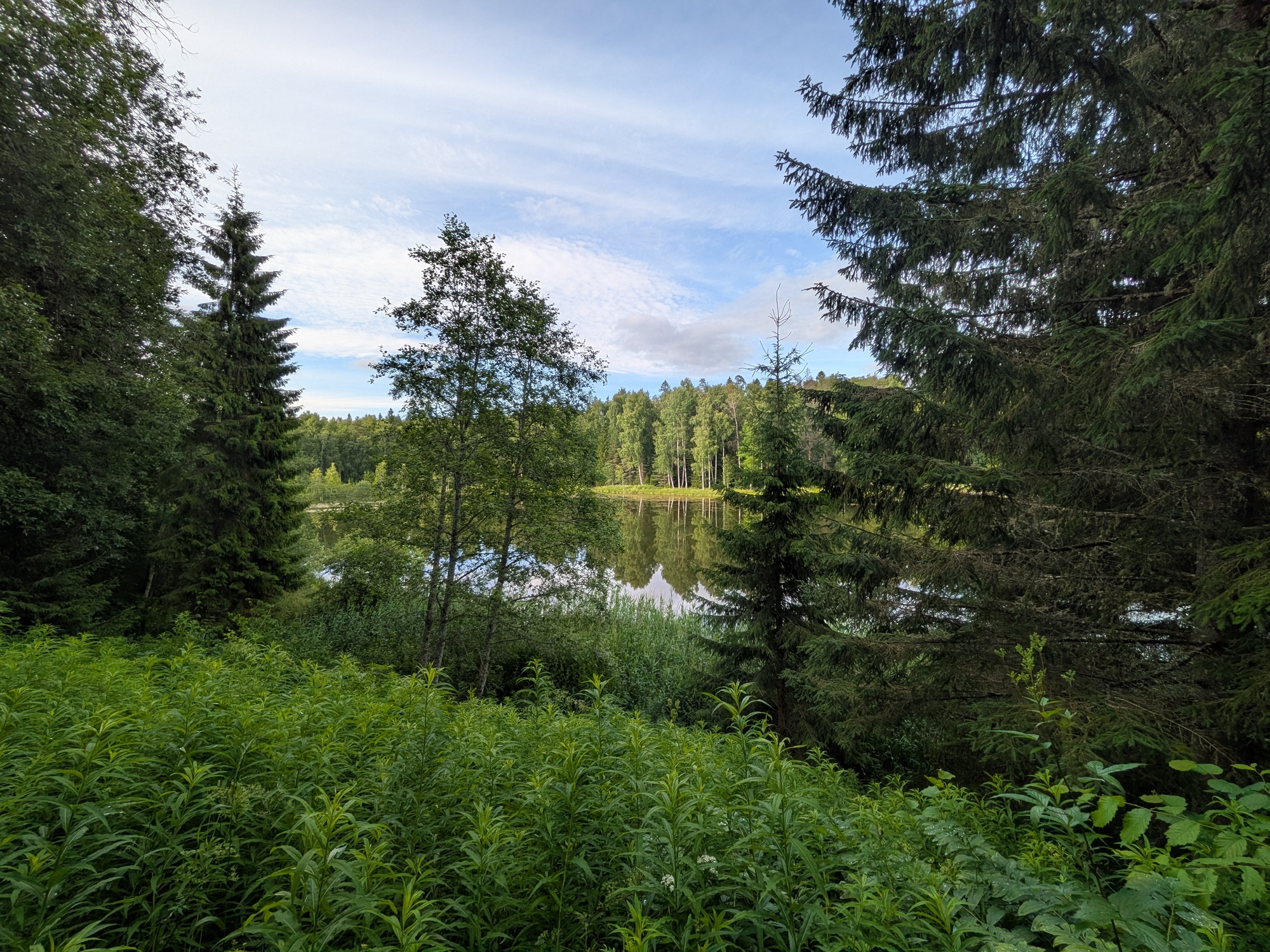 Matk Neeruti järve ääres