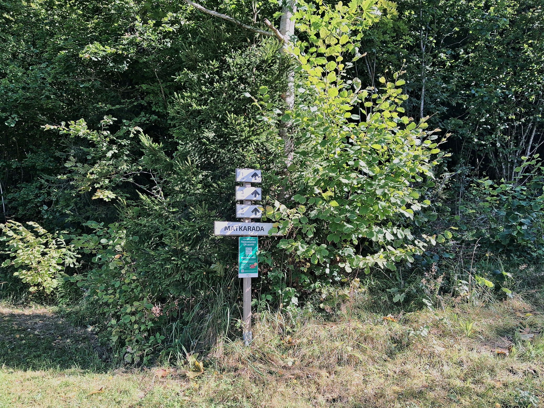 Lüllemäe viidastatud terviserajad