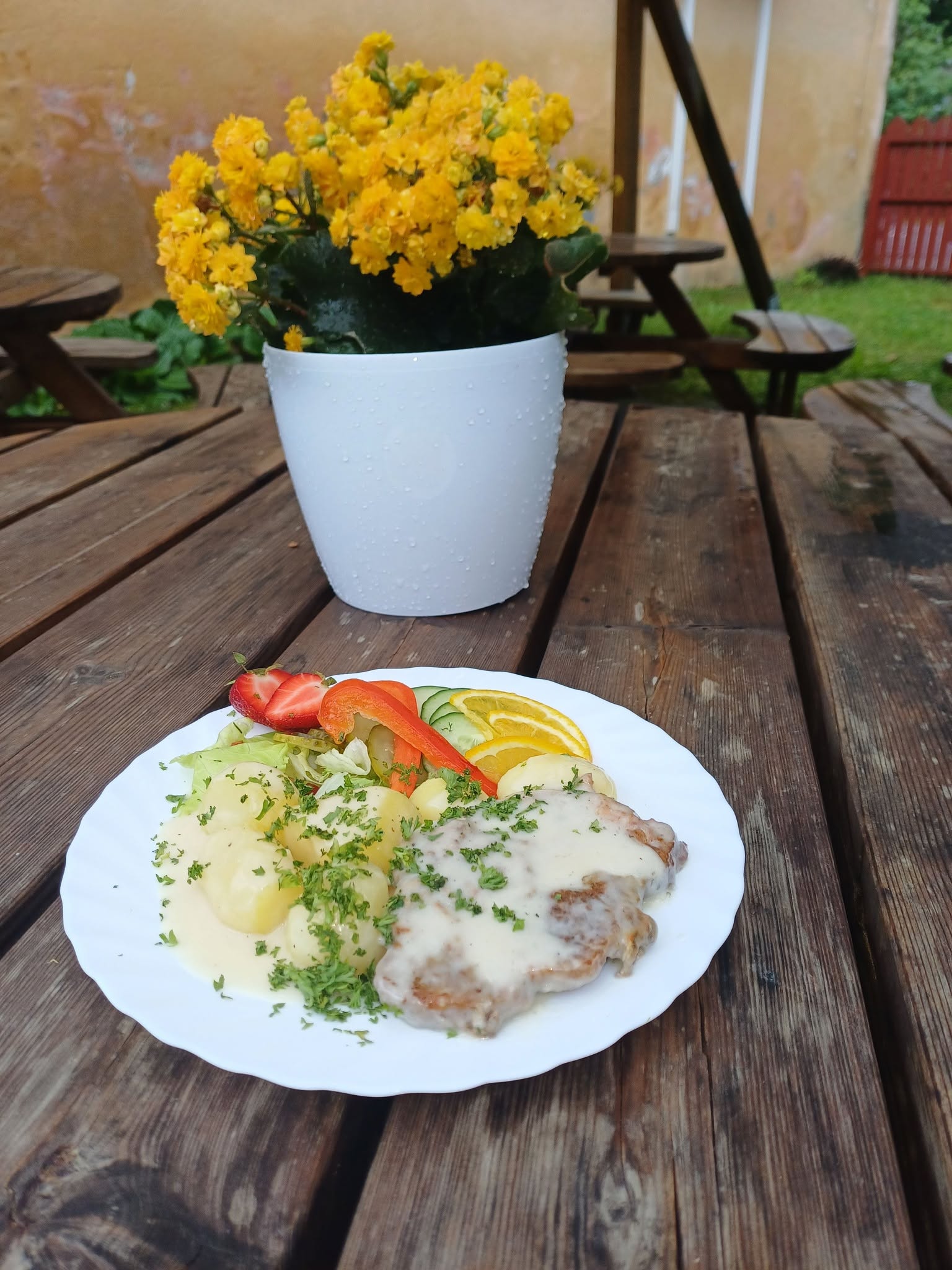 Kadri Tare kooreklops