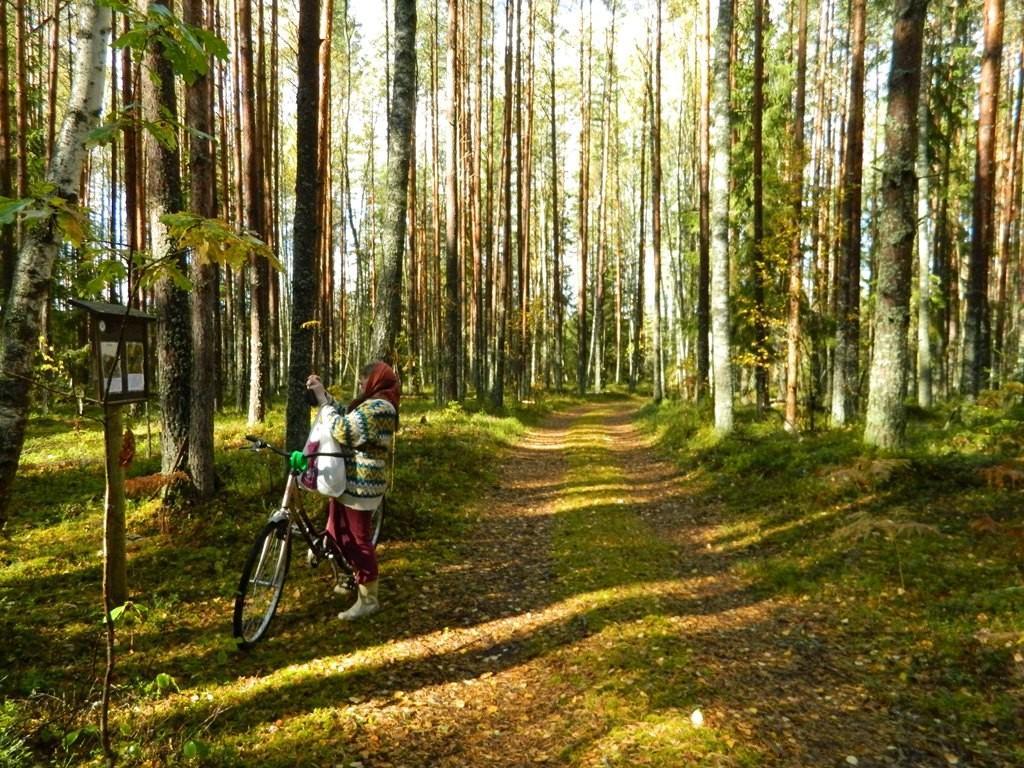 A nature study trail in the southernmost point of Estonia