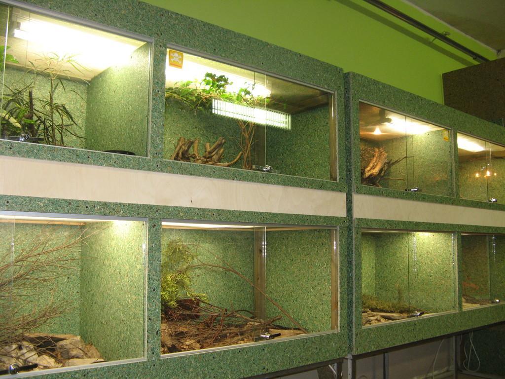 Mini Zoo eksootiline terraarium