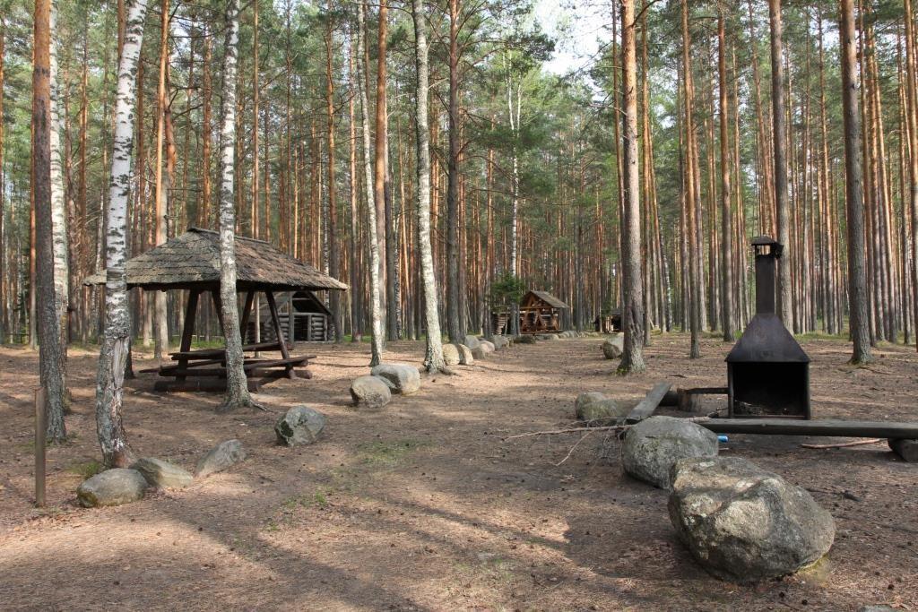 Nohipalu Mustjärv Meenikunno maastikukaitsealal