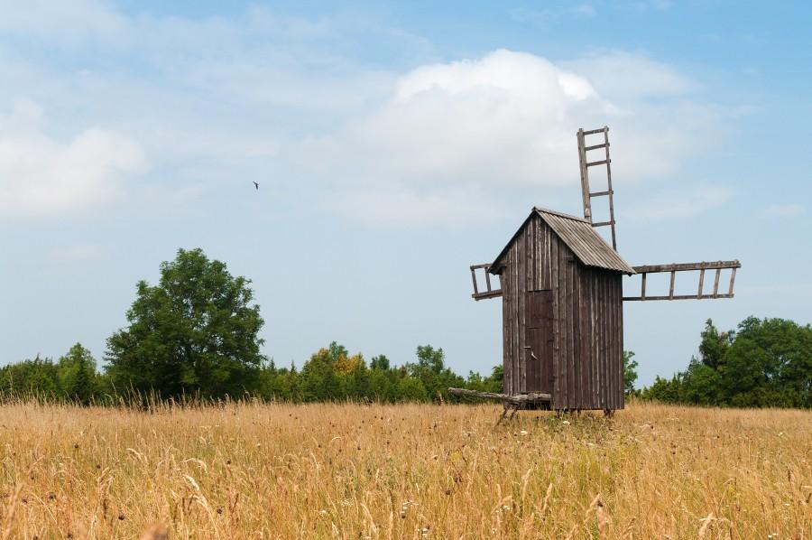 Explore the islets of Hiiumaa by boat