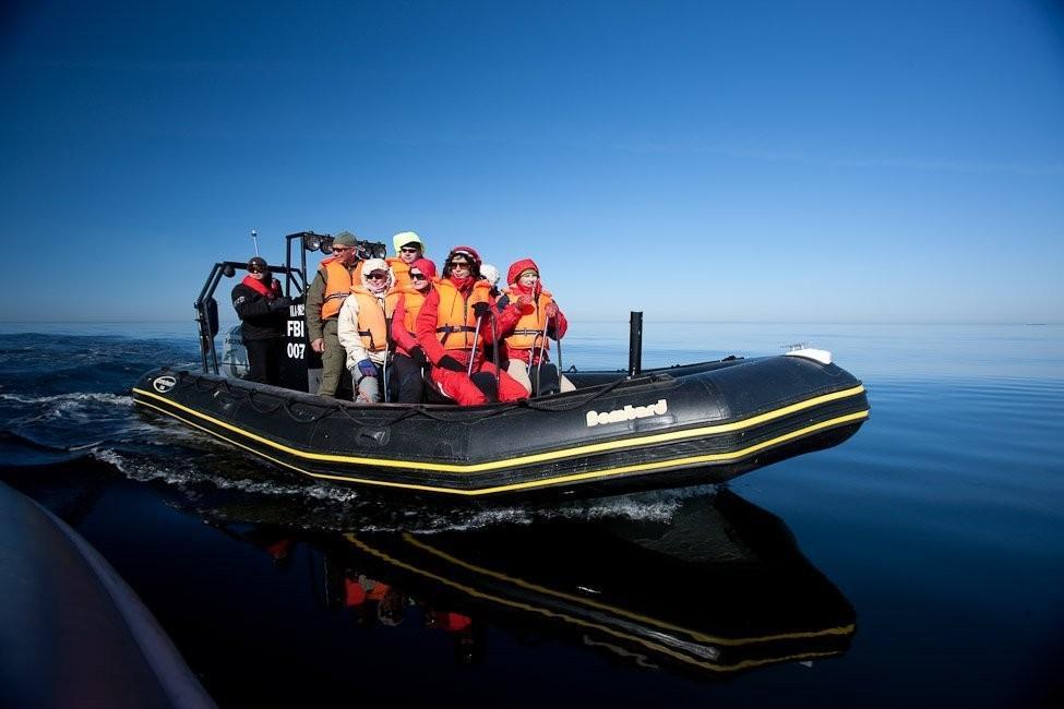 Meeressafari mit einem Festrumpfschlauchboot in der Bucht von Tallinn