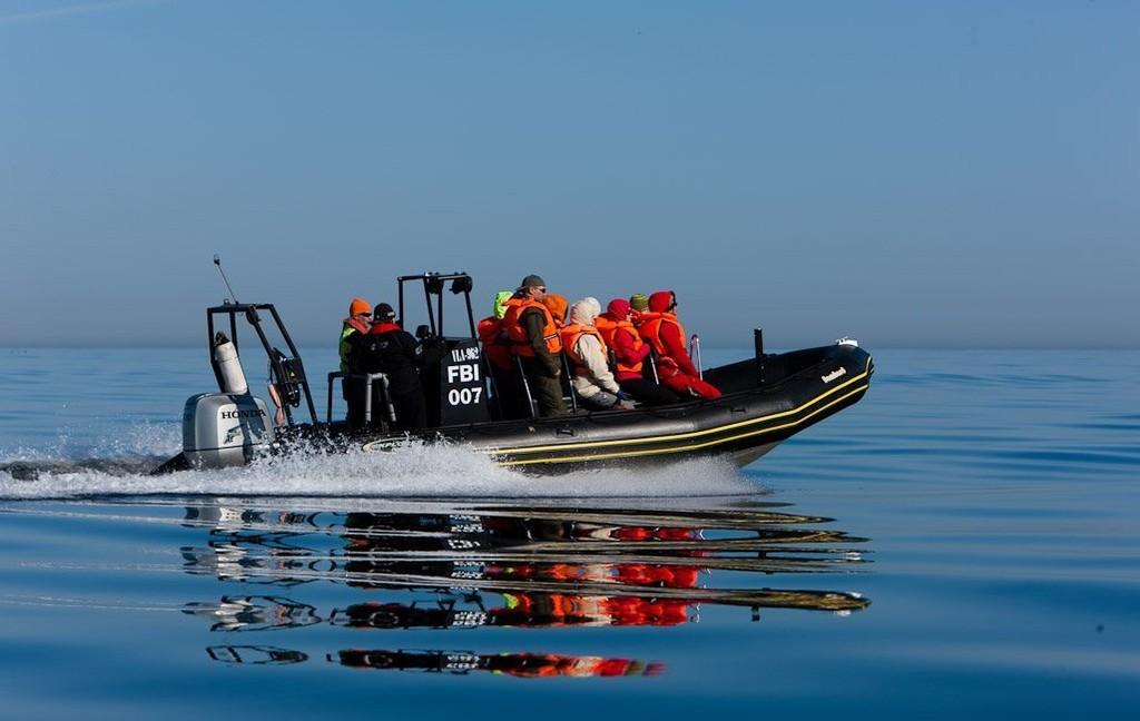 Meeressafari mit einem Festrumpfschlauchboot in der Bucht von Tallinn