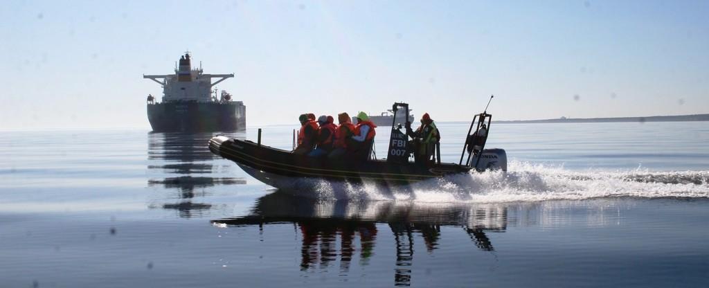 Meeressafari mit einem Festrumpfschlauchboot in der Bucht von Tallinn