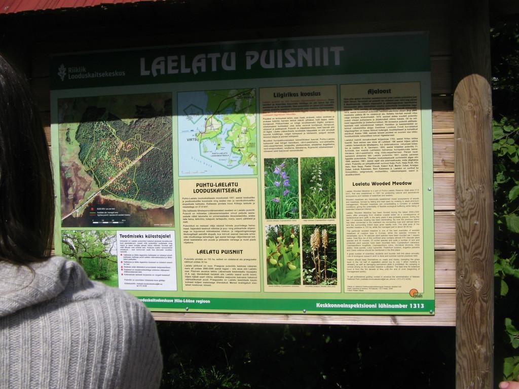 Gehölzwiese Laelatu