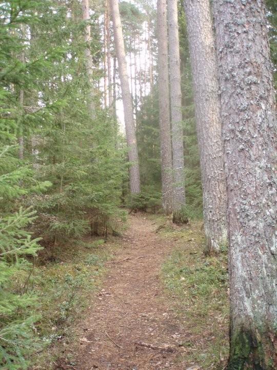 Metsanurme-Üksnurme ajaloo- ja loodusõpperada