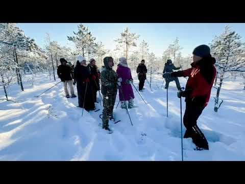 Matkajuht Oü https://matkajuht.ee